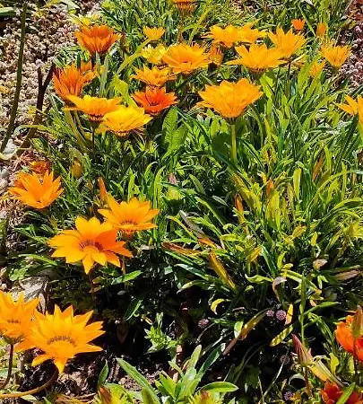 Alojamento de Turismo Rural Quinta Do Bamby Leiria