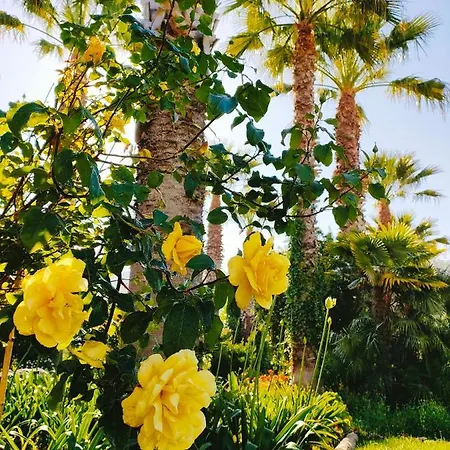 Quinta Do Bamby Alojamento de Turismo Rural Leiria