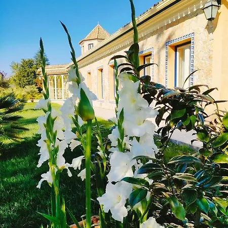 Quinta Do Bamby Alojamento de Turismo Rural