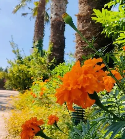Quinta Do Bamby Alojamento de Turismo Rural *