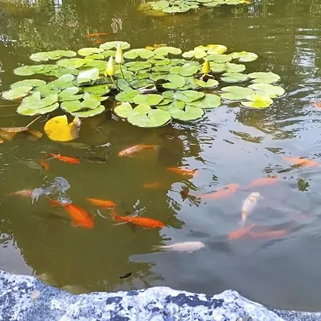 Quinta Do Bamby Alojamento de Turismo Rural *