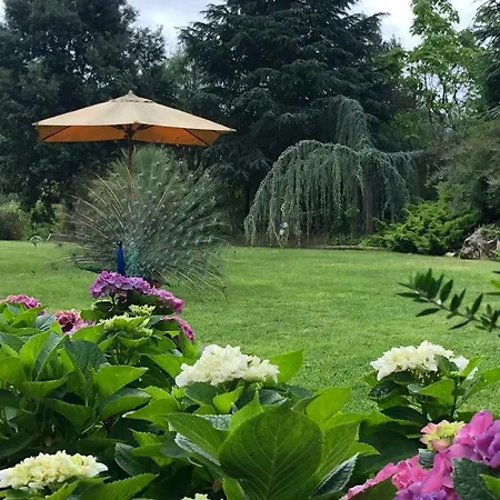 Quinta Do Bamby Leiria