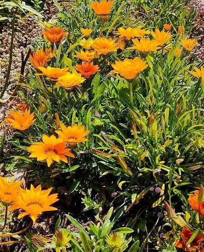 Farm stay Quinta Do Bamby Leiria