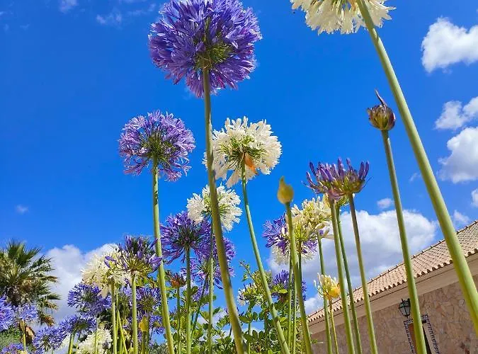 Farm stay Quinta Do Bamby Leiria