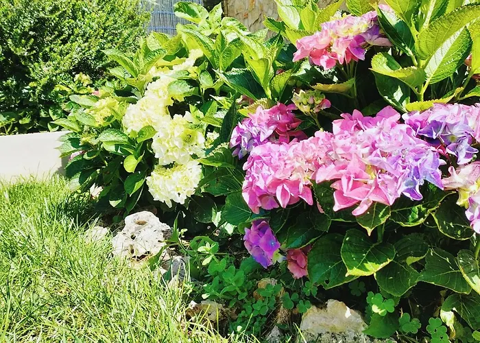 Farm stay Quinta Do Bamby Leiria