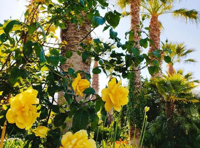 Quinta Do Bamby Farm stay Leiria