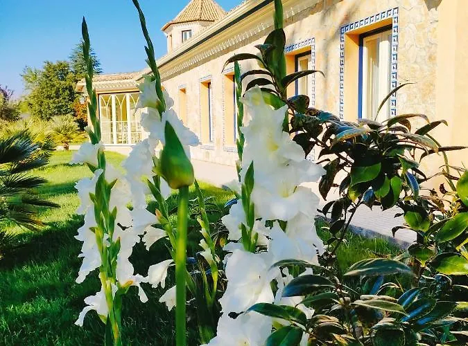 Quinta Do Bamby Farm stay