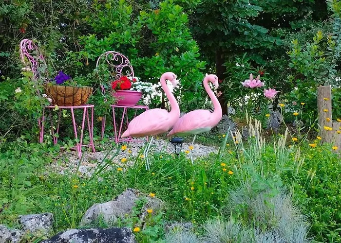 Quinta Do Bamby Farm stay Leiria