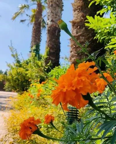 Quinta Do Bamby Farm stay *