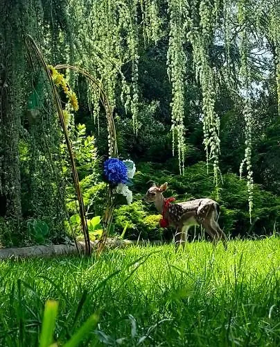 Quinta Do Bamby Leiria