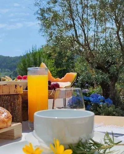 Quinta Do Bamby Farm stay Leiria