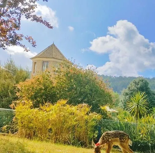 Quinta Do Bamby Farm stay *