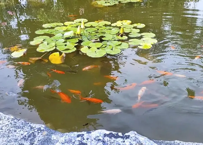 Quinta Do Bamby Farm stay *